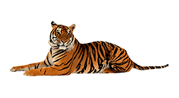 Glass-Manor-Elementary-logo