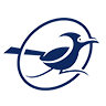 roadrunner logo blue and white